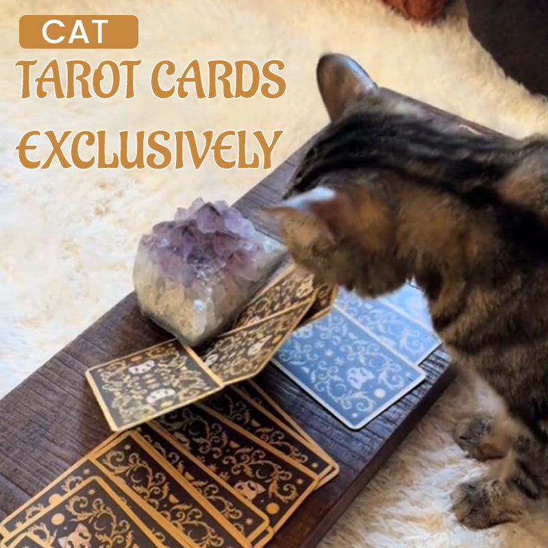 Cat Tarot Cards Exclusively