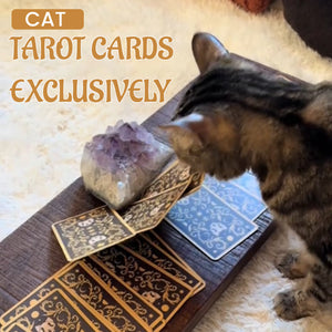 Cat Tarot Cards Exclusively