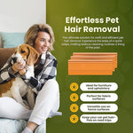 Load image into Gallery viewer, Hand-held Pet Hair Scraper

