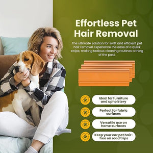 Hand-held Pet Hair Scraper