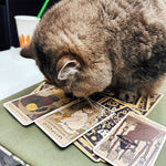 Load image into Gallery viewer, Cat Tarot Cards Exclusively
