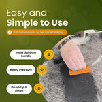 Load image into Gallery viewer, Hand-held Pet Hair Scraper
