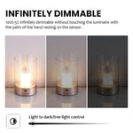 Load image into Gallery viewer, Candle Night Light
