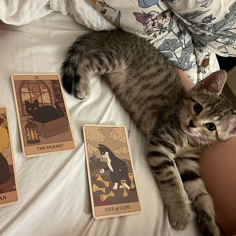 Cat Tarot Cards Exclusively