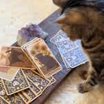 Load image into Gallery viewer, Cat Tarot Cards Exclusively
