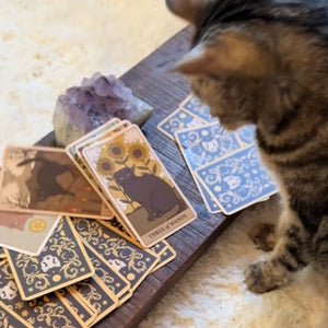 Cat Tarot Cards Exclusively