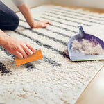 Load image into Gallery viewer, Hand-held Pet Hair Scraper
