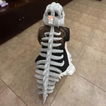 Load image into Gallery viewer, Realistic Dinosaur Skeleton Costume Set
