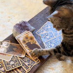 Load image into Gallery viewer, Cat Tarot Cards Exclusively
