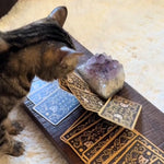 Load image into Gallery viewer, Cat Tarot Cards Exclusively
