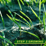 Load image into Gallery viewer, Biodegradable Lawn Seed Mat
