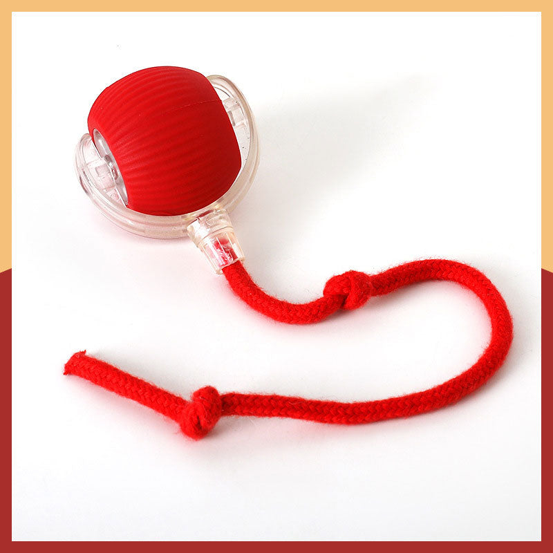 Smart Chasing Pet Toy Ball
