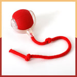 Load image into Gallery viewer, Smart Chasing Pet Toy Ball
