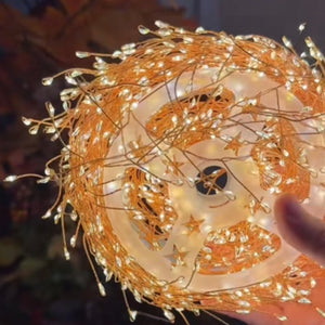 🌕 Harvest Moon Glow – Autumn Fairy Light String